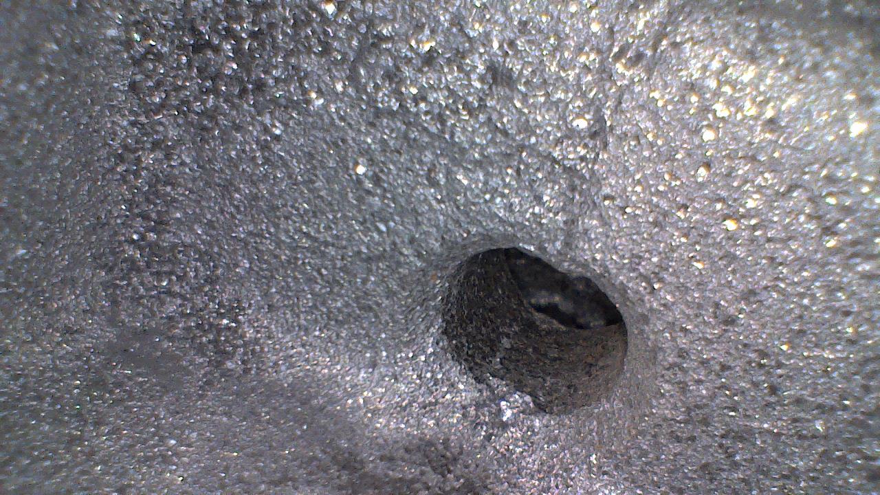 香港宝典免费资料网