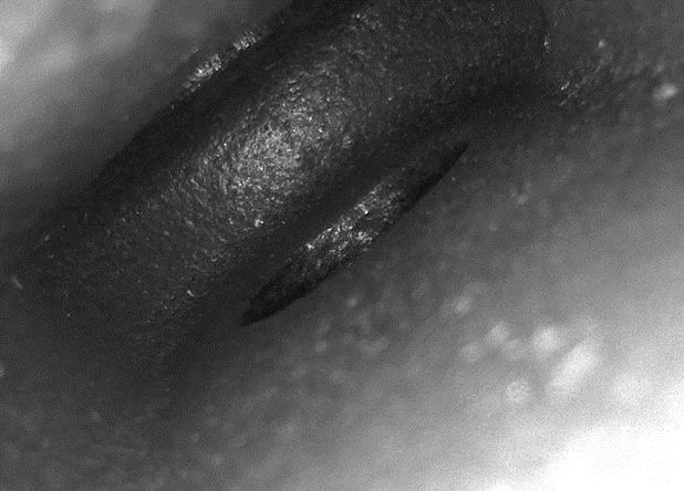 香港宝典免费资料网